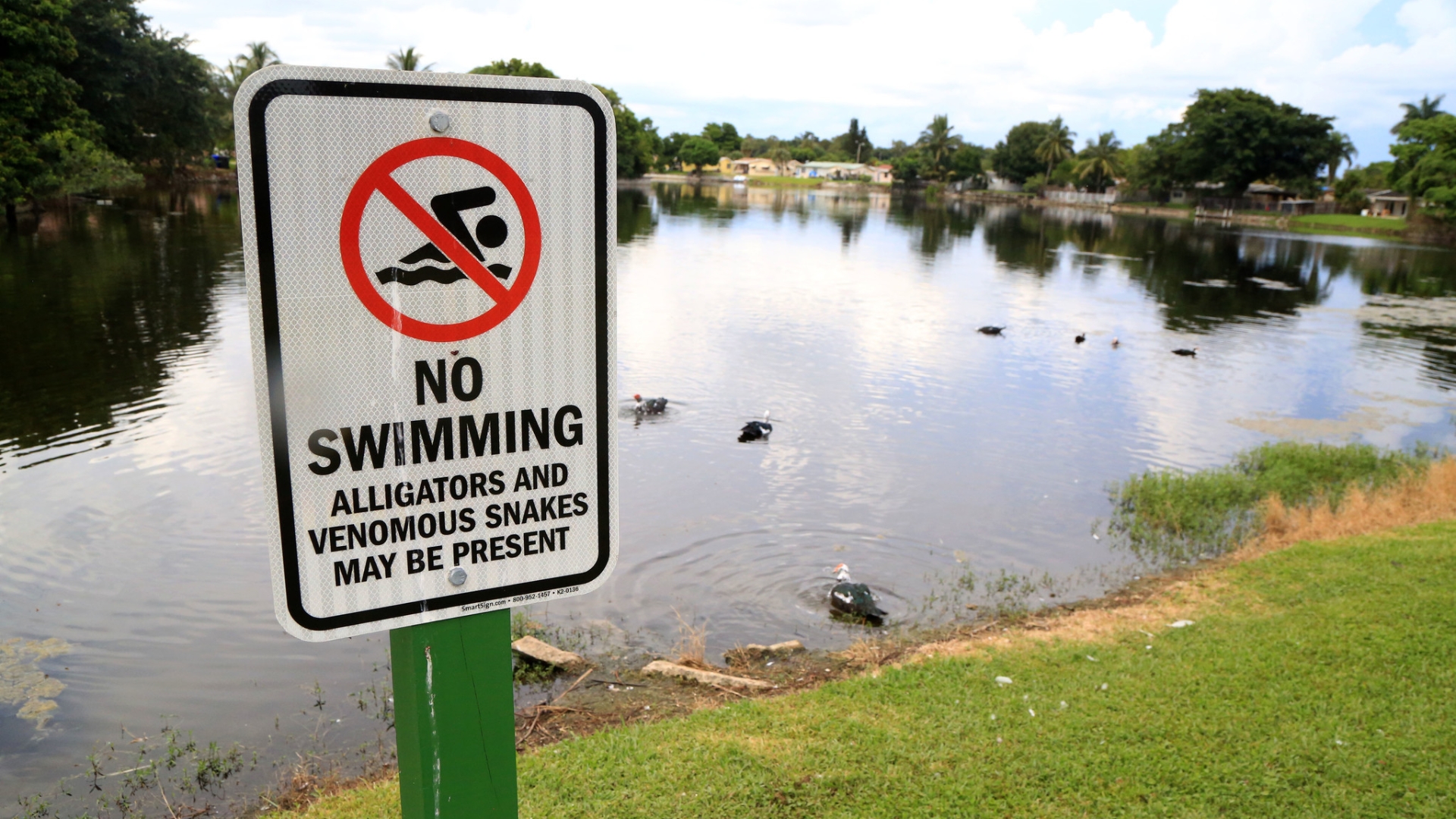 Danger unfenced pond no unaccompanied children sign 
