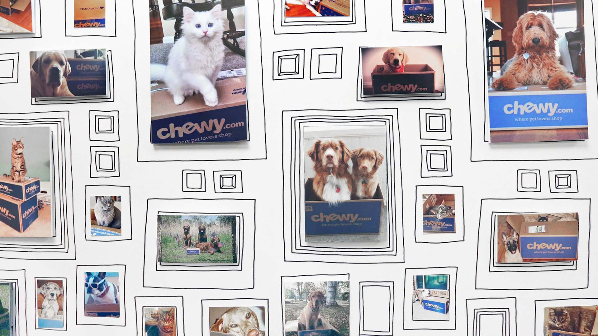 petsmart acquisition of chewy