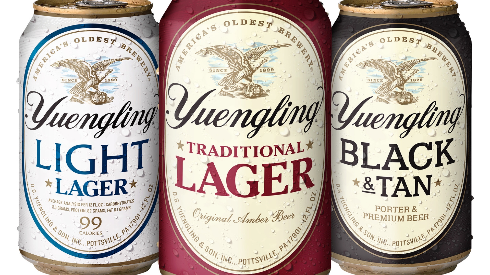 New Yuengling Brewery Beer Keg Sticker Red Lager Eagle Porter Black And Tan PA 
