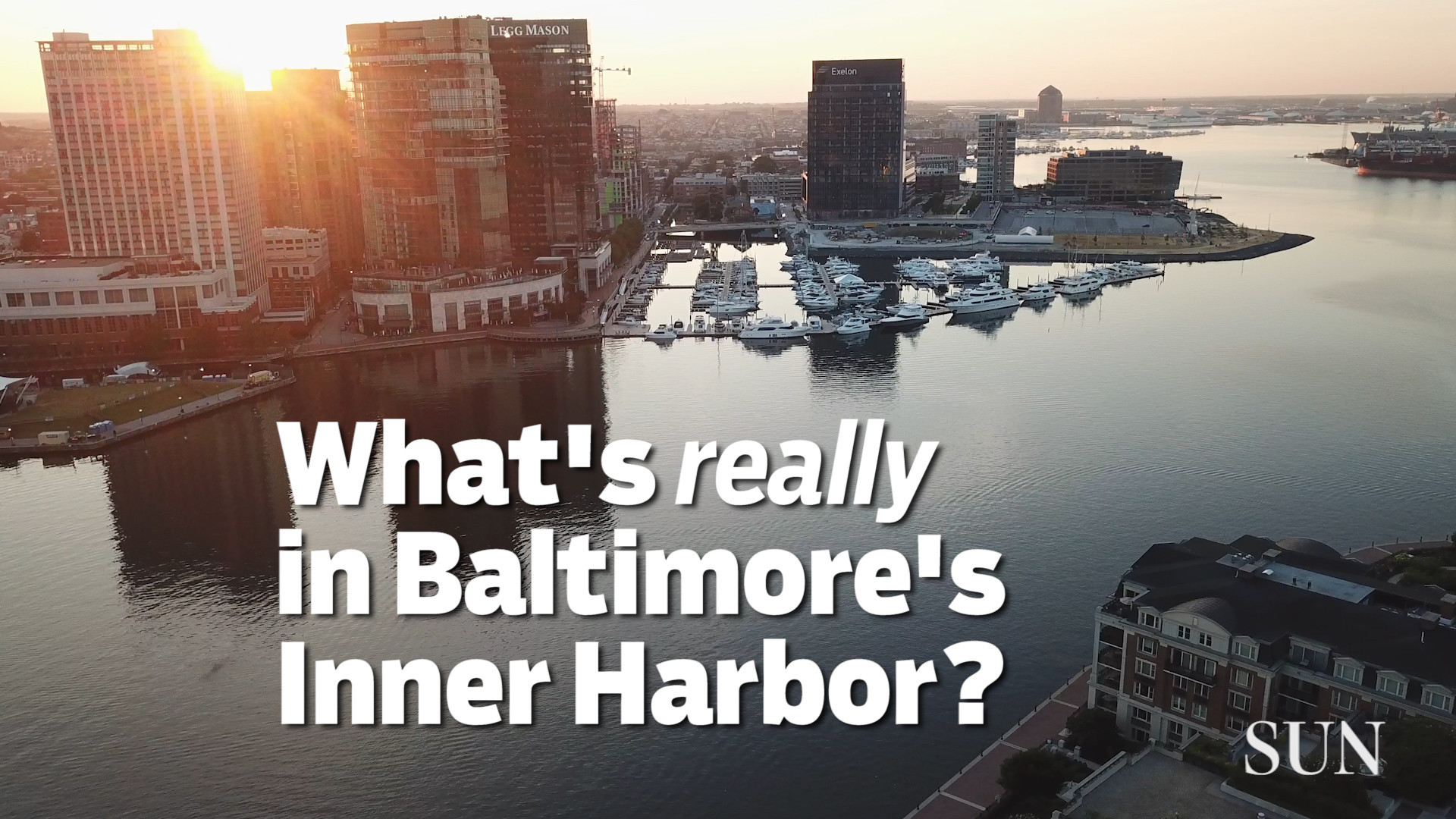 You Asked What S Really In Baltimore S Inner Harbor Here S What We Found Baltimore Sun