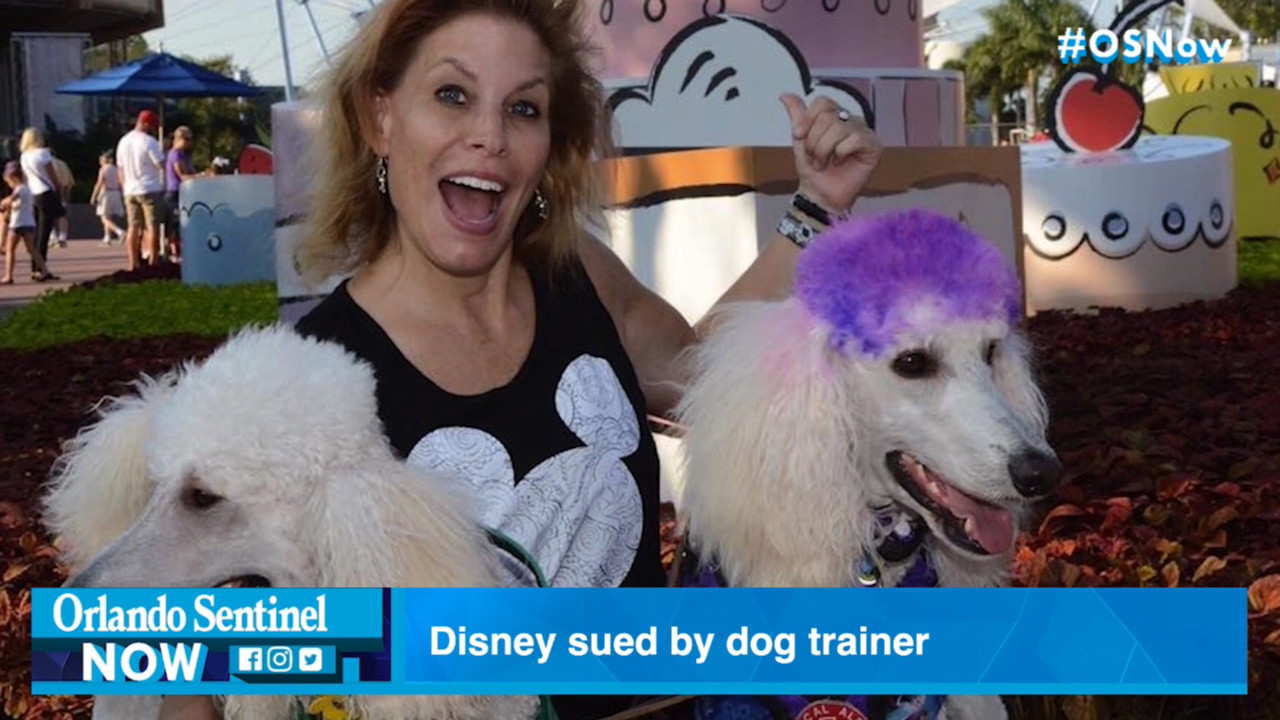 Disney sued by dog trainer who takes 